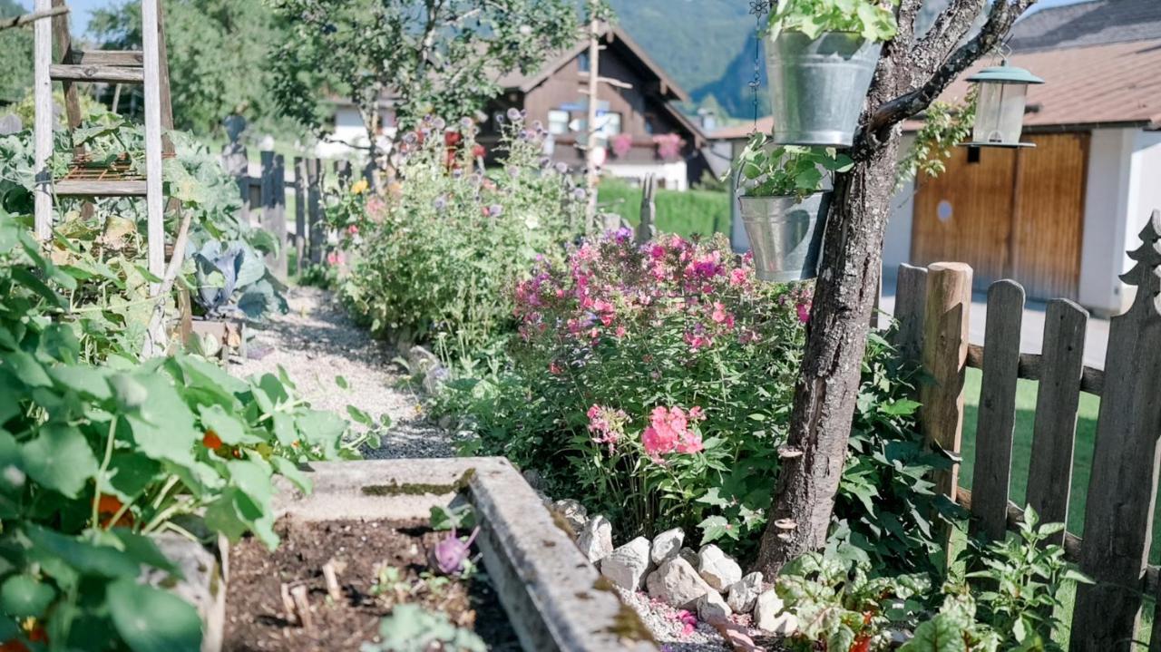 Archehof Eislbauer - Deine Ladezone Fur Die Seele! Sankt Gilgen Exteriér fotografie